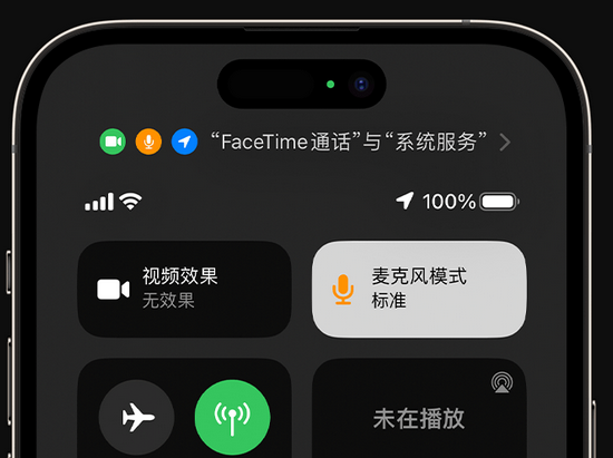 武定苹果授权维修网点分享iPhone在通话时让你的声音更清晰 