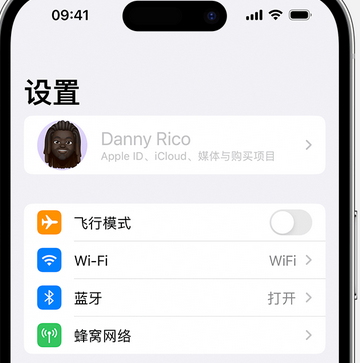 武定appleID维修服务iPhone设置中Apple ID显示为灰色无法使用 