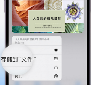 武定apple维修中心分享iPhone文件应用中存储和找到下载文件