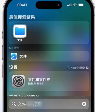 武定apple维修中心分享iPhone文件应用中存储和找到下载文件