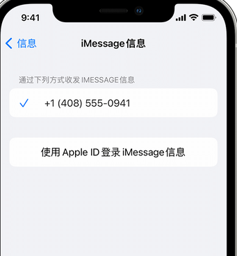 武定apple维修iPhone上无法正常发送iMessage信息