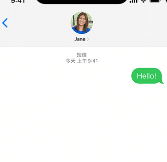 武定apple维修iPhone上无法正常发送iMessage信息