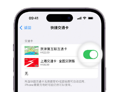 武定apple维修点分享iPhone上更换Apple Pay快捷交通卡手绘卡面 