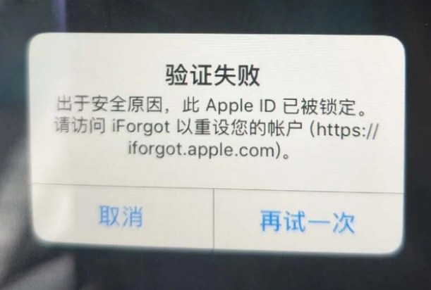 武定iPhone维修分享iPhone上正常登录或使用AppleID怎么办 