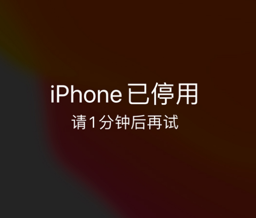 武定苹果手机维修分享:iPhone 显示“不可用”或“已停用”怎么办？还能保留数据吗？ 