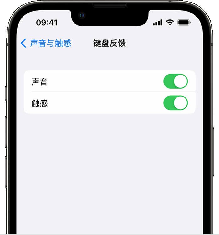 武定苹果14维修店分享如何在 iPhone 14 机型中使用触感键盘 