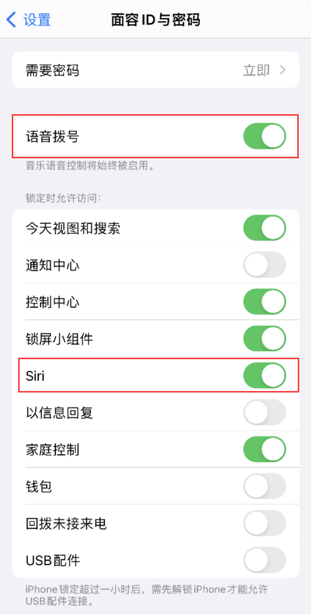 武定苹果维修网点分享不解锁 iPhone 的情况下通过 Siri 拨打电话的方法 