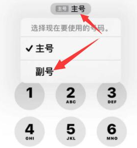 武定苹果14维修店分享iPhone 14 Pro Max使用副卡打电话的方法 