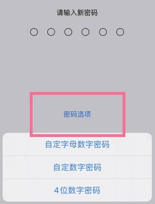 武定苹果14维修分享iPhone 14plus设置密码的方法 