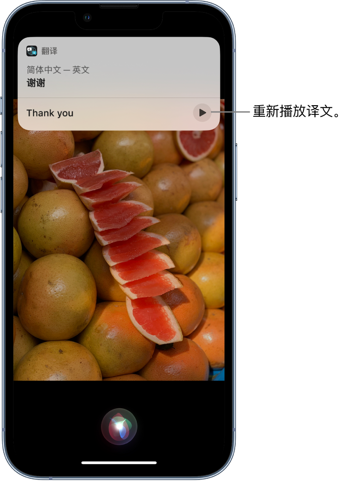 武定苹果14维修分享 iPhone 14 机型中使用 Siri：了解 Siri 能帮你做什么 