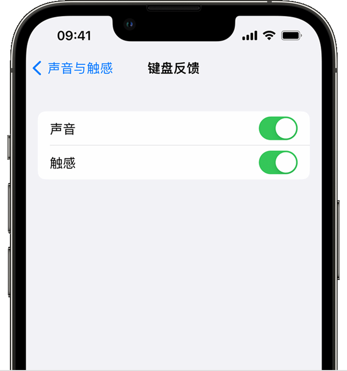 武定苹果14维修分享iPhone 14 系列机型如何开启键盘声音或触感反馈 