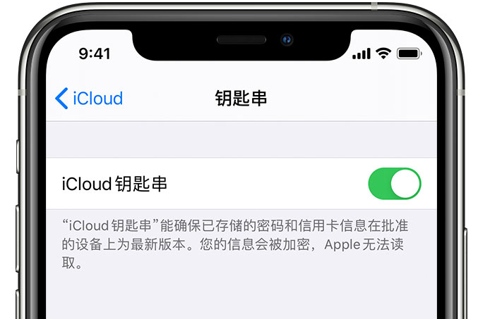 武定苹果手机维修分享在 iPhone 上开启 iCloud 钥匙串之后会储存哪些信息 