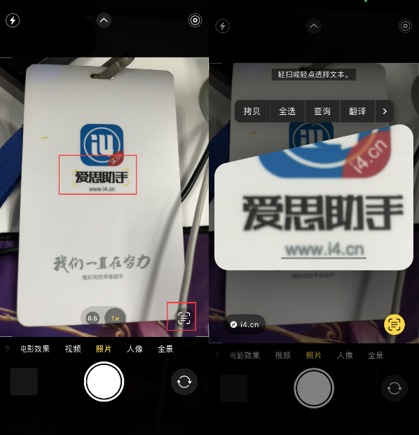 武定苹果手机维修分享升级iOS 16后如何通过相机翻译文本 