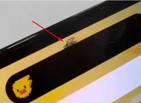 武定苹果14维修分享iPhone 14 Pro Max灵动岛怎么养宠物 