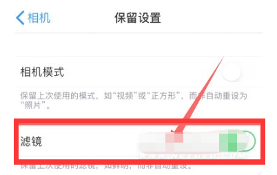 武定苹果13维修分享iPhone13拍照有绿点是怎么回事 