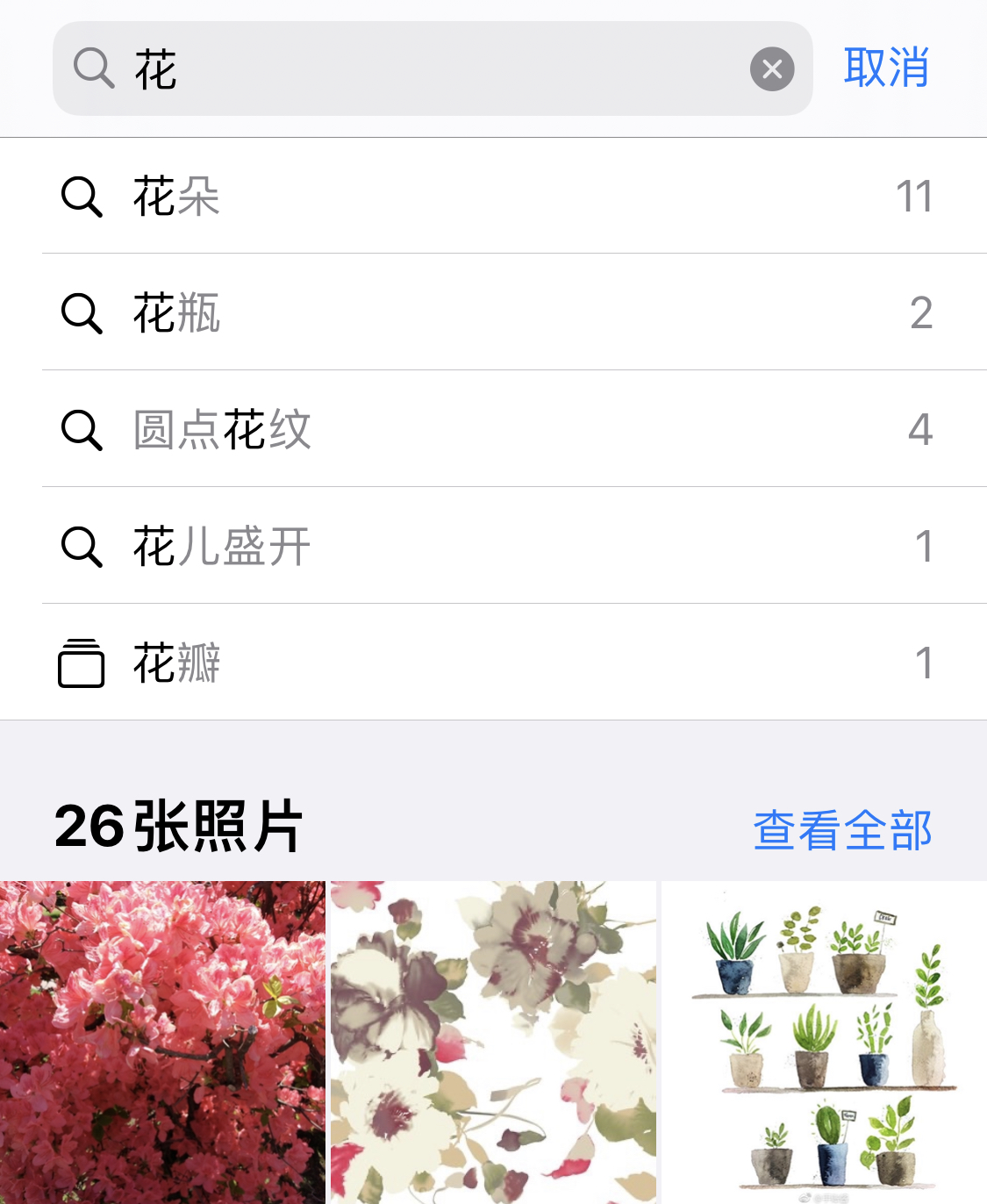 武定苹果手机维修分享iPhone 小技巧 