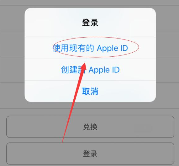 武定苹果手机维修分享两台iPhone设备可以同时登录一个Apple ID吗 