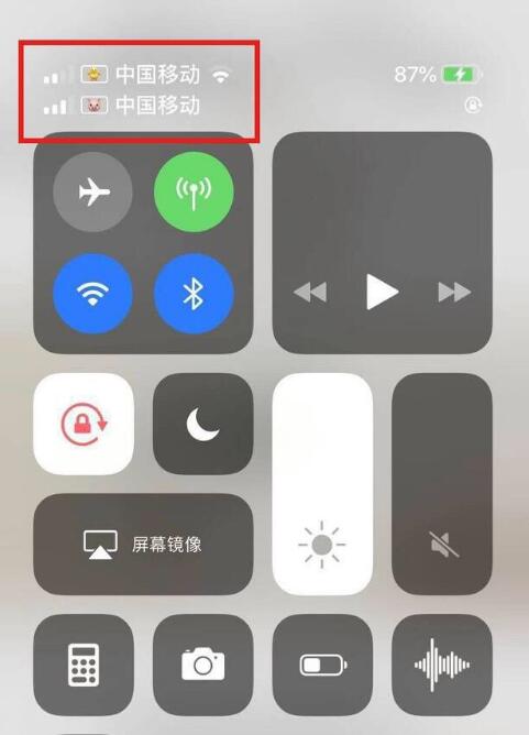 武定苹果手机维修分享为 iPhone 12 双卡设置标签 