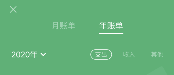 武定苹果手机维修分享如何在 iPhone 上查看支付宝和微信年支出账单 