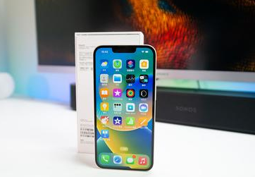 武定苹果维修点分享iPhone 14扩容容易忽略的暗病 