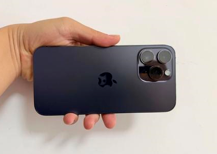 武定苹果维修点分享iPhone 14 Pro Max黑屏少见故障盘点 